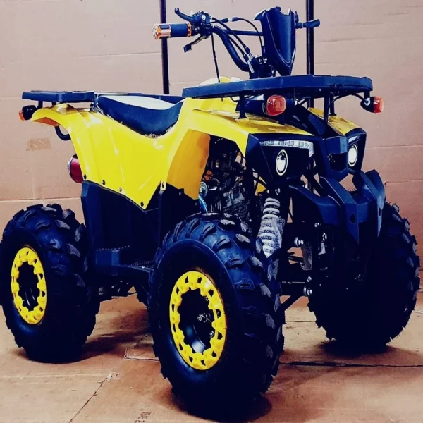 Kids Atv 125cc Bike (Yellow & Blue)