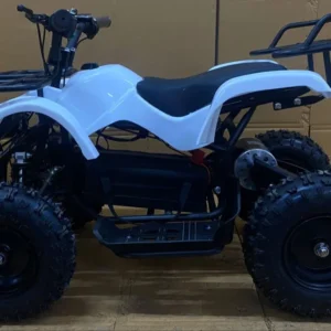 Electric Quad Bike (Green)